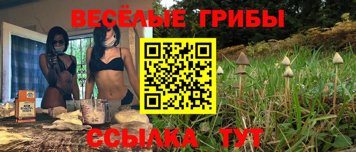 Галлюциногенные грибы Psilocybe  Вход с VPN  Королёв 